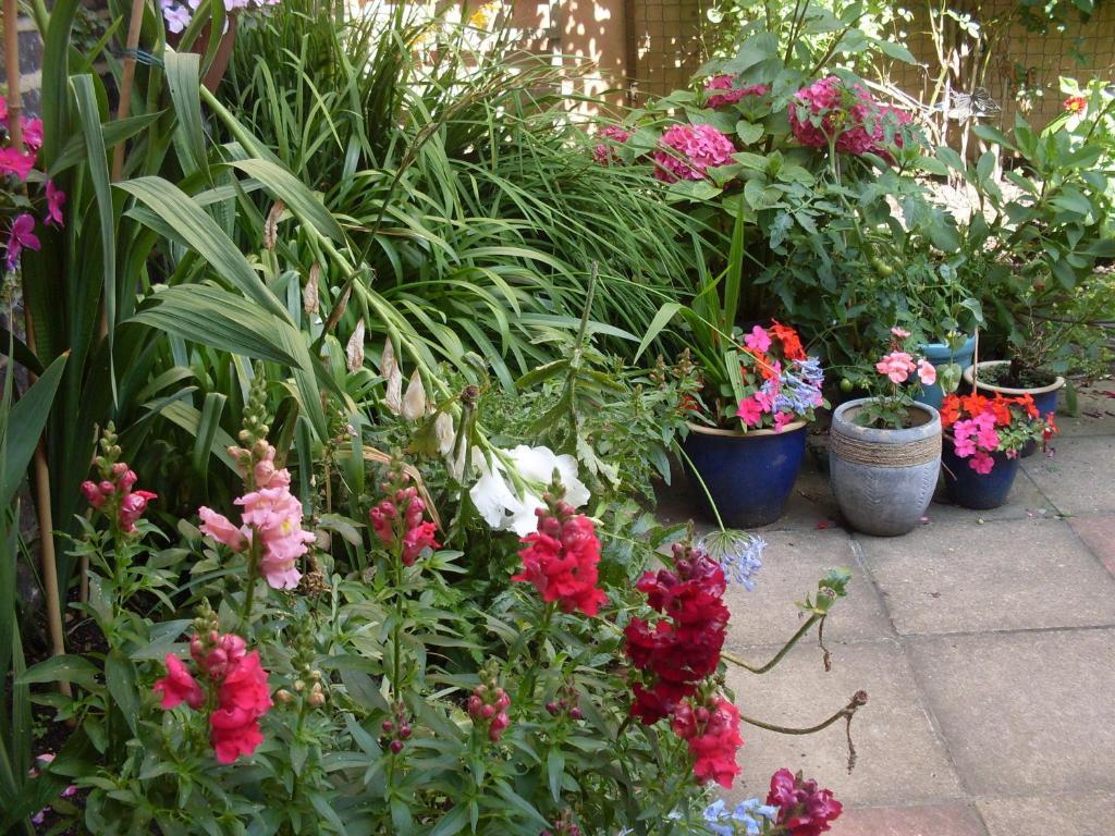 Cambridge House Guest House ايستبورن الغرفة الصورة